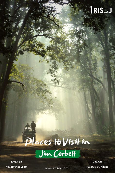 Places to Visit in Jim Corbett Jim Corbett National Park, Elephant Ride, Jim Corbett, River Rafting, Before Sunset, Tourist Places, Free Travel, Walking In Nature, Rafting