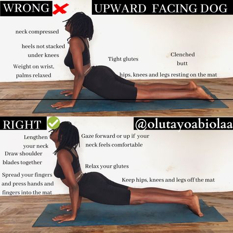 Alignment tips for Upward Facing Dog Pose Upward Facing Dog Pose, Dog Reference, Upward Dog, Upward Facing Dog, Yoga Aesthetic, Fat Burning Tips, Dog Poses, Dog Yoga, Yoga Pose