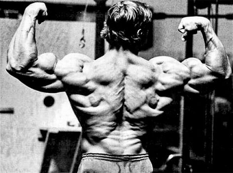 Arnold Schwarzenegger Arnold Back Workout, Back Workout Program, Leg And Back Workout, Big Back Workout, Back Workout Bodybuilding, Back Workout Men, Arnold Bodybuilding, Chest And Back Workout, Back Workout Routine