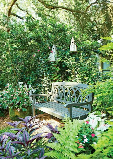 Bench In Front Yard, Southern Front Yard Landscaping, Front Yard Bench, Garden Sitting Areas, Start Gardening, Cottage Landscape, Landscape Planning, Bench Area, Shady Garden