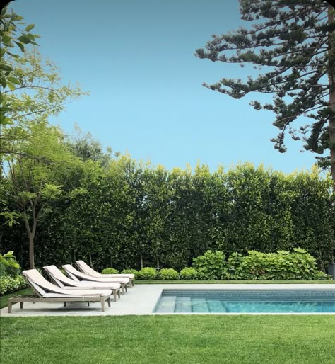 Pool Landscaping With Pool House, Concrete Pool Design Ideas, Italian Pool Landscaping, Rural Pool Landscaping, Pool With Fake Grass Around It, Plunge Pools Backyard, Grass Around Pool Ideas, Pools With Grass Around Them, Pool With Grass Surround