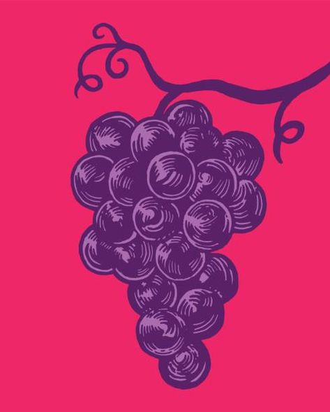 Vintage Grape Illustration, Grapes Illustration Graphics, Grapes Illustration Design, Grape Logo, Grapes Illustration, Grape Illustration, Nowruz Crafts, Grapes Art, Grape Drawing