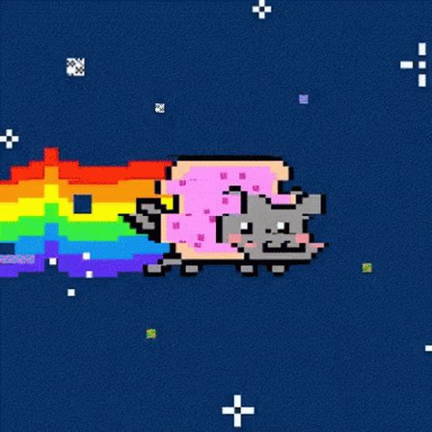 Nyan Cat GIF - Nyan Cat - Discover & Share GIFs Nyan Cat Gif, Fly Gif, Japanese Gif, Cat Flying, Cat Animated, Nyan Nyan, Neon Cat, Flying Cat, Cat Background