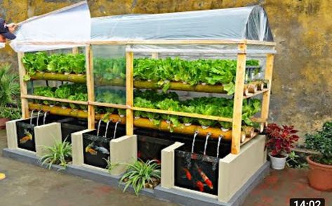 Diy Aquaponics, Net Basket, Garden Tools Diy, Aquaponics Greenhouse, Backyard Aquaponics, Vegetables Garden, Aquaponics Fish, Aquaponics Diy, Basket Diy