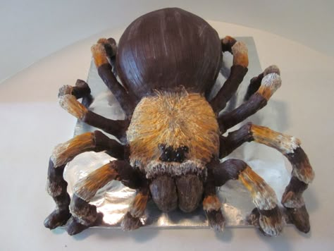 Tarantula cake - A tarantula cake I made to celebrate two people getting jobs. Not entirely sure what a tarantula had to do with it, but they liked it anyway. Creepy Food, Halloween Deserts, Spider Cake, Bug Cake, Halloween Party Dinner, Halloween Food Treats, Halloween Appetizers, Animal Cakes, Wedding Cake Rustic