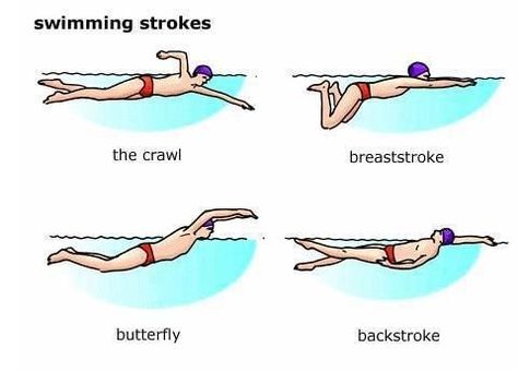 You can easily find a renowned #swimming #school in #Eastern #Suburbs whether you want to enroll your child or are interested in learning some new #strokes. It is very important to teach your children how to #swim for several reasons. Strokes Worksheet For Kids, Different Swimming Strokes, Swimming Styles, Esl Worksheets For Beginners, Swimming Lessons For Kids, Swimming School, Words To Spell, Swimming Strokes, How To Swim