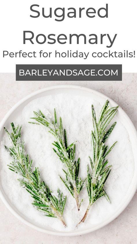 Sugared rosemary is one of my favorite ways to dress up desserts for Thanksgiving and Christmas! Sugared herbs are so festive and perfect for the holidays! Best of all it requires just 3 ingredients. Sugared Rosemary, Fun Coffee Drinks, Quick Christmas Dessert, Desserts For Thanksgiving, Desserts For Christmas, Recipe Conversions, Sugared Cranberries, Rosemary Sprigs, Thanksgiving And Christmas