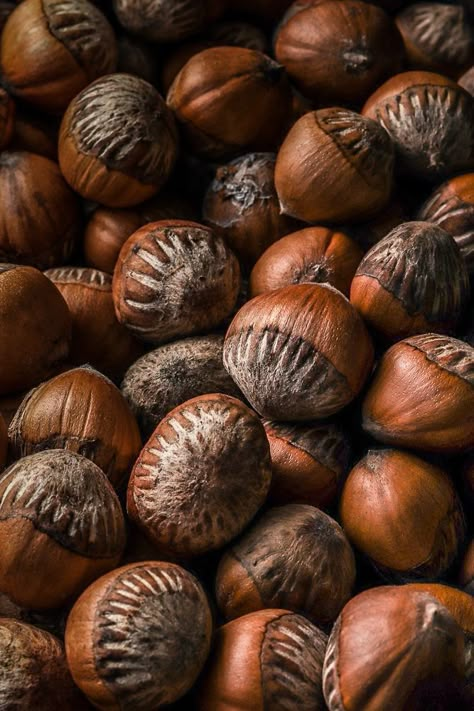 Autumn Food Photography, Nut Photography, Rainbow Aesthetics, Fruits Aesthetic, Artistic Food, Hazelnut Tree, Cinnamon Hair, Hazel Color, Autumn Food