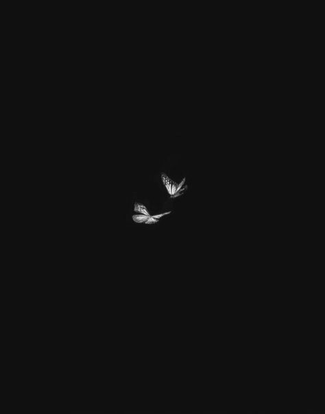 Dark Background Wallpaper, Black Background Wallpaper, Black Phone Wallpaper, Dark Wallpaper Iphone, Black And White Aesthetic, Black Aesthetic Wallpaper, Dark Photography, Butterfly Wallpaper, Instagram Highlight Icons