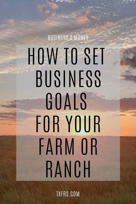 Do you have goals for your ag business? Before you dismiss goal setting for your farm or ranch, do a quick evaluation of your business. Is your profit where you want to be? If you don’t know, then you need a goal. Let’s break this down into an easy way to define your business goals. Follow these steps to work your way through the things you want from your business and how to get them. Starting A Ranch, Farm Business Ideas, Farm Grants, Goat Pasture, Farm Business Plan, Agriculture Business Plan, Ranching Life, Business Office Ideas, Living Independently