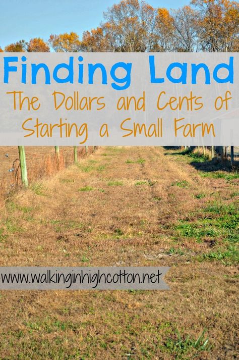 10 Thoughts on Finding Land…The Dollars and Cents of Starting a Small Farm Starting A Farm, Homestead Farm, Future Farms, Urban Homesteading, Mini Farm, Living Off The Land, Homestead Survival, Backyard Farming, Farms Living