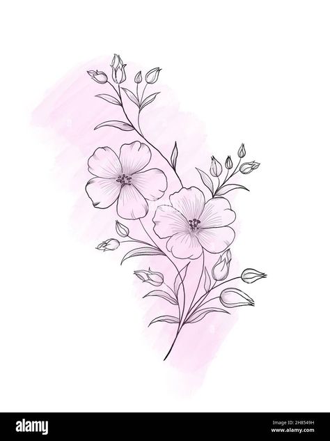 Download this stock image: Beautiful sketch of a tattoo - a delicate twig with flowers . Flowers Periwinkle. Hand drawing. Outline. On a white background - 2H8549H from Alamy's library of millions of high resolution stock photos, illustrations and vectors. Violet Flower Tattoos, Flower Tattoo Stencils, Violet Tattoo, Butterfly Tattoo Stencil, Periwinkle Flowers, Flower Tattoo Drawings, Flowers Drawing, Flower Drawing Design, Beautiful Sketches