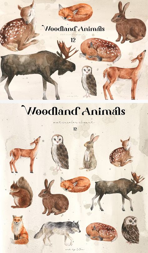 Woodland Animals Watercolor Paintings, Forest Animals Watercolor, Woodland Creature Watercolor, Animal Forest Illustration, Woodland Watercolor Nursery Art, Tropical Animals, Woodland Nursery, Animal Nursery, Animal Clipart