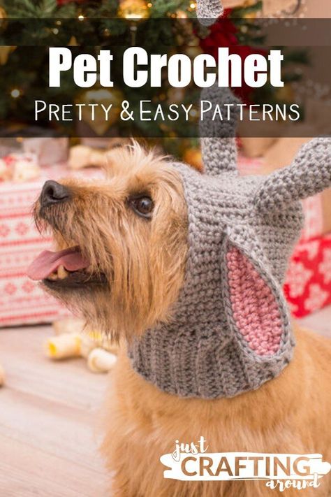 Crochet Pet Patterns, Pet Crochet Patterns, Dog Beanie Pattern, Crochet Dog Hat Free Pattern, Dog Scarf Crochet, Pet Crochet, Crochet Pets, Comfy Crochet, Crochet Totoro