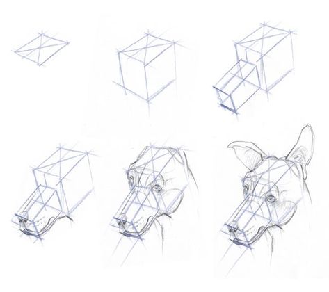 Dog Head Angles, Dog Head Sketch, Dog Drawing Anatomy, Mechanical Dog Art, Dog Head Anatomy, Dogs Animation, Dog Head Drawing, Drawing A Head, Mechanical Dog