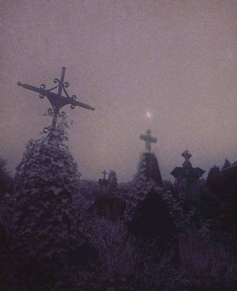 Nona Limmen, Baba Jaga, Mazzy Star, Gothic Aesthetic, Season Of The Witch, The Fog, Dark Photography, New Wall, The Witch