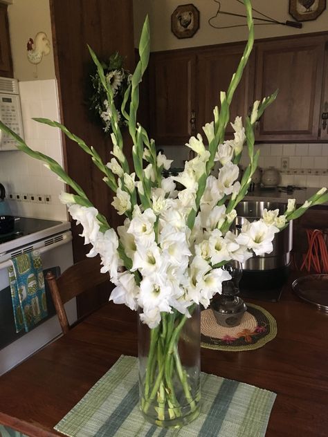 Gladiolus Wedding Centerpiece, Gladioli Flower Arrangements, Pianese Flower, Gladioli Bouquet, Gladiolus Centerpiece, Gladioli Flower, Gladiolus Flower Tattoo, Gladiolus Wedding, Gladiolus Bouquet