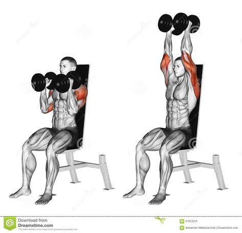 Seated Shoulder Press, Biceps Curl, Dumbbell Shoulder Press, Best Shoulder Workout, Shoulder Training, Shoulder Exercises, Gym Antrenmanları, Dumbell Workout, Trening Fitness