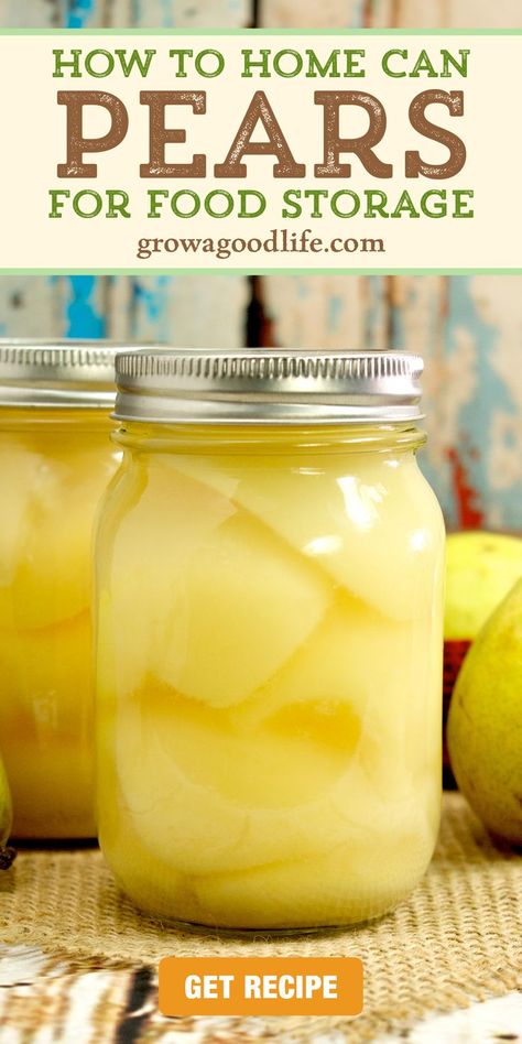 Pear Recipes For Canning, Can Pears, Farm Meals, Canning Fruit Recipes, Pear Recipes Easy, Pickled Pears, Canning Water, Hot Water Bath Canning, Canning Pears