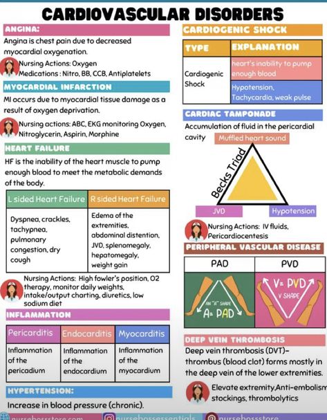 Nursing School Studying Cheat Sheets, Emt Study, Nursing School Essential, Cardiovascular Disorders, Nursing Study Guide, Nursing School Motivation, Nurse Study Notes, Nursing Mnemonics, Nursing Student Tips