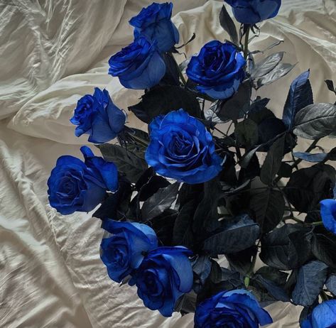 Flower Aesthetic Dark, Robin Arellano, Roses Bouquet Gift, Blue Roses Wallpaper, Home Screen Design, Blue Butterfly Wallpaper, Dark Blue Flowers, Birthday Goals, Roses Wallpaper