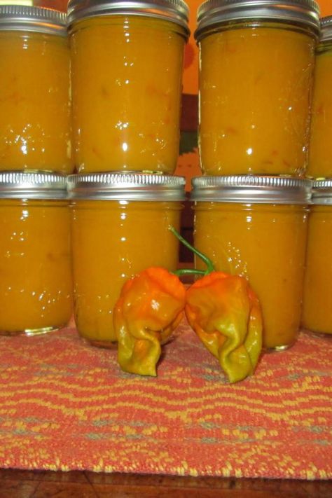 Mustard Hot Sauce, Hot Pepper Mustard Canning, Habanero Mustard Recipe, Hot Pepper Mustard Recipe, Pepper Mustard Recipe, Habanero Hot Sauce Recipe, Mustard Recipes, Habanero Recipes, Growing Hot Pepper