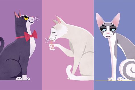 Quiz | What type of cat are you? What Kind Of Cat Are You, What Type Of Cat Are You, Types Of Cats Breeds, Best Poetry Books, Cat Personalities, Cat Species, What Cat, Types Of Cats, Kinds Of Cats