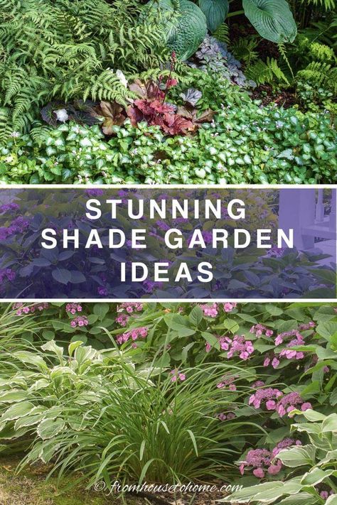 Whether you are gardening in a small space, a large backyard or even a side yard, creating a beautiful shade garden design is possible. Find some shade garden ideas and inspiration that will help you build the shade garden design of your dreams. | Gardening Shade Garden Ideas, Easy Garden Ideas Landscaping, Part Shade Plants, Garden Front Of House, Shade Landscaping, Shade Garden Design, Shade Grass, Shade Loving Perennials, Shade Garden Plants