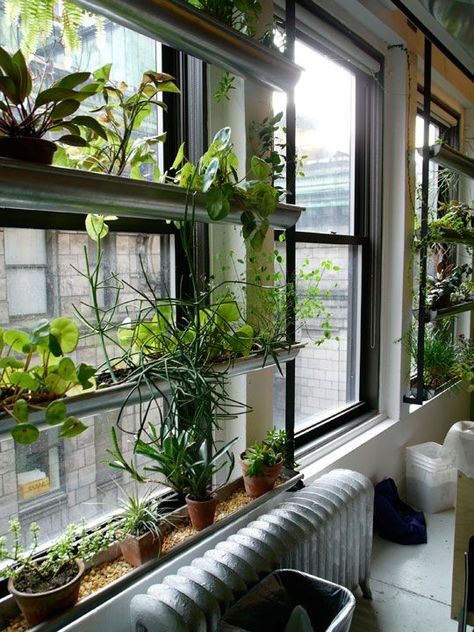 Apartment Herb Gardens, Balcony Herb Gardens, Gutter Garden, Cheap Landscaping Ideas, Window Garden, Urban Apartment, Indoor Window, Balcony Plants, Vertical Gardens