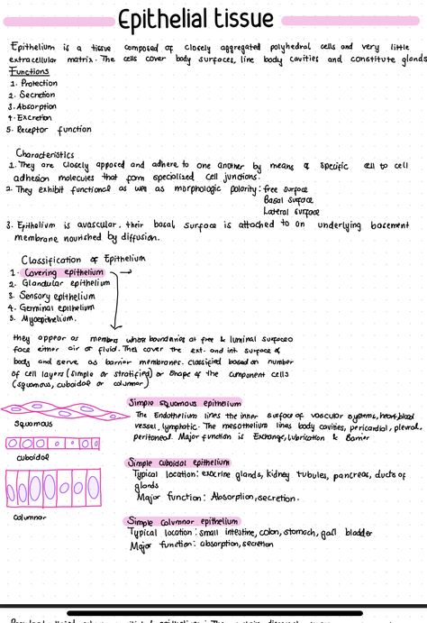 ipad notes on epithelial tissue Epithelial Tissue, Ipad Notes, Cell Cover, Medical School Essentials, School Essentials, The Cell, Medical School, Cavities, Ipad