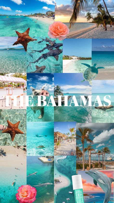 the bahamas!!🌊🏝️☀️🐚🌅 Bahamas Aesthetic, Coconut Dream, Bahamas Travel, Cute Summer Wallpapers, Travel Inspiration Destinations, Ocean Vibes, Dream Holiday, The Bahamas, Summer Wallpaper