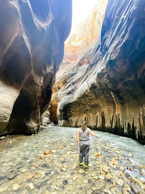 Grand Circle Road Trip, Hiking The Narrows, Hiking Sticks, Camping Essentials, National Parks Trip, Zion National Park, Hiking Trip, Amazing Adventures, More Pictures