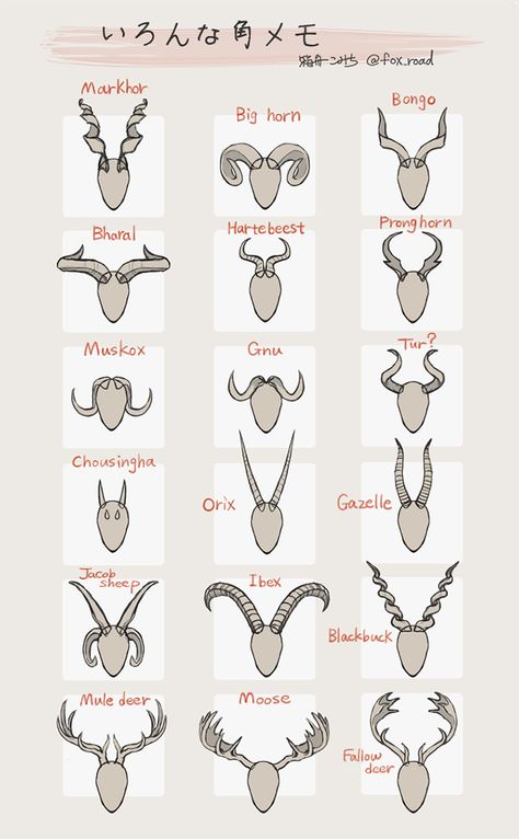 horn references by @fox_road on twitter Hair With Horns Reference, Horns On Head Reference, Different Types Of Horns, Horn Designs Art, Horned Character Design Male, Horn Anatomy, How To Draw Horns, Female With Horns, Character Horns