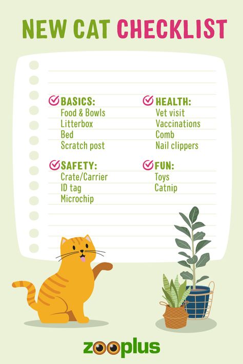 New Cat Checklist, Cat Must Haves, Kitten Checklist, Cat Checklist, New Cat Owner, Getting A Kitten, Dream Pet, Cat Flap, Food Cat