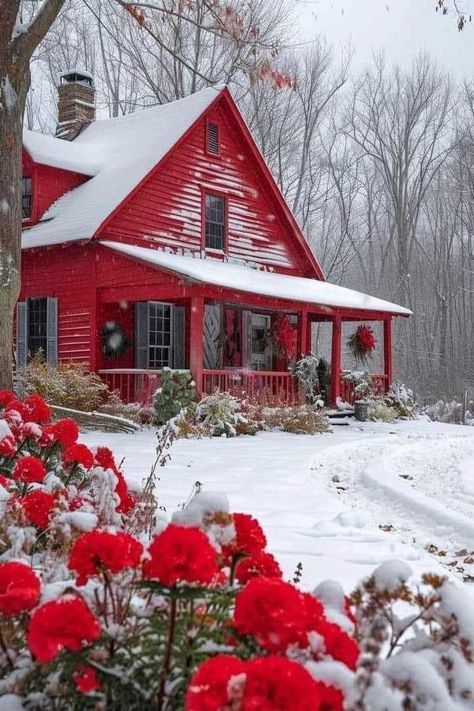 Beautiful Winter Pictures, Beauty Of Winter, Pictures Winter, Winter Christmas Scenes, Christmas Cabin, Red Houses, Cozy Homes, Cozy Cabins, White Christmas Ornaments