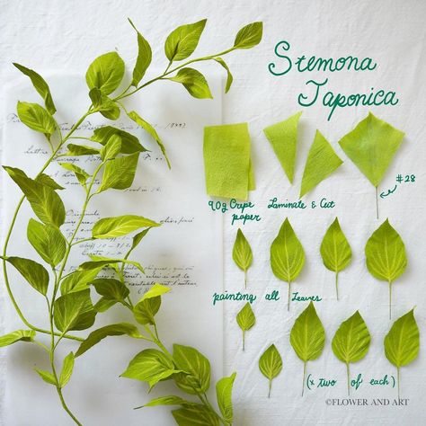 Flower and Art | Stemona Japonica🌿 Stemona Japonica is a simple vine plant. It is easy to combine with bouquets and is very useful when you want to add… | Instagram Kite Paper Flowers Diy, Paper Vines Diy, Crepe Flowers Diy, Crepe Paper Flowers Bouquet, Diy Vines, Crepe Flowers, Flora Vintage, Paper Projects Diy, Project Paper