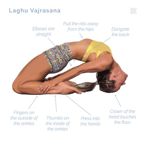 How to do Laghu Vajrasana (The Little Thunderbolt) Yoga Progression, Yoga Knowledge, Yoga Alignment, Hip Opening Yoga, Yoga Teaching, Camel Pose, Yoga Therapy, Practice Yoga, Ashtanga Yoga