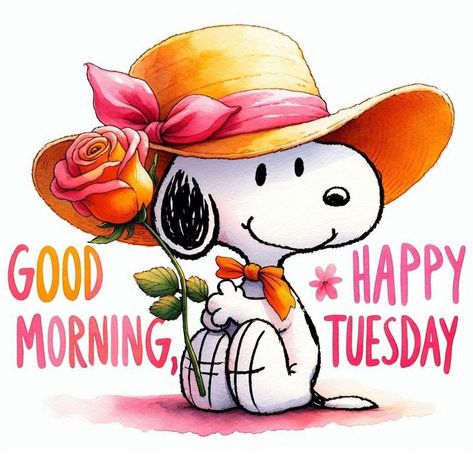 Happy Tuesday Images, Good Morning Tuesday Images, Happy Tuesday Morning, Tuesday Quotes Good Morning, Cute Best Friend Quotes, Tuesday Images, Tuesday Greetings, Weekend Greetings, Hello Tuesday