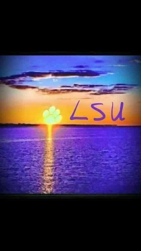 Lsu Designs, Lsu Decorations, Lsu Softball, Lsu Babies, Lsu College, Lsu Baseball, Lsu Game, Lsu Fans, Lsu Tigers Football