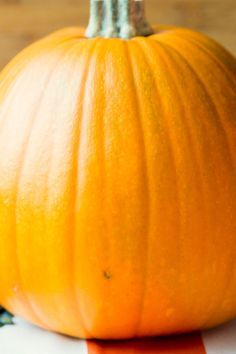 Preserving Pumpkins - How To Make Pumpkins Last Longer, Carved or Not How To Make Your Pumpkin Last Longer, Pumpkin Cleaning Hacks, Preserving Pumpkins For Outside, How To Make Pumpkins Last Longer Outside, Preserve Pumpkins For Outside, Pumpkin Preservation, Make Pumpkins Last Longer, Preserve Carved Pumpkin, How To Paint Pumpkins