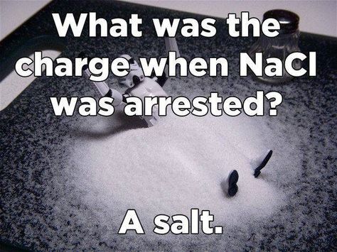 A Salt!!! Chemistry Puns, Nerdy Jokes, Nerdy Humor, Science Puns, Chemistry Humor, Nerd Jokes, Chemistry Jokes, Science Quotes, Math Jokes