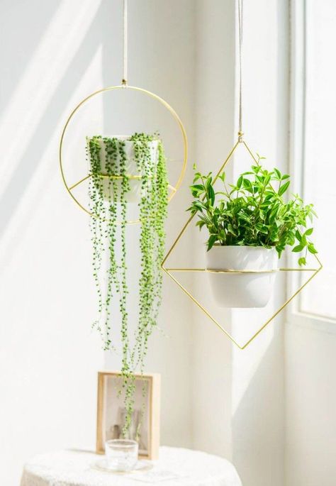 20 stylish ideas for decorating your small space with plants - Living in a shoebox Cottagecore Bedroom, Decorating Hacks, Indoor Plant Wall, Metal Hanging Planters, Plant Hanging, Hanging Plant Wall, House Vibes, Hanging Plants Indoor, Pot Stand