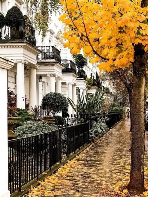 October Fall Beauty South Kensington London, Magical Autumn, Veranda Magazine, London Dreams, Beautiful London, London Aesthetic, Fallen London, Kensington London, South Kensington