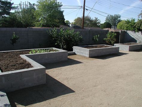 Raised Garden Bed - concrete block by VYNNIE THE GARDENER, via Flickr Raised Bed Garden Design, Cinder Block Garden, Raised Vegetable Gardens, Building Raised Garden Beds, Diy Raised Garden, Concrete Block, Raised Planter, Veg Garden, Concrete Garden