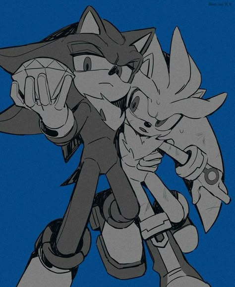 Shadow And Silver, Hedgehog Movie, Silver The Hedgehog, Sonic 3, Warrior Cats Art, Sonic Franchise, Hedgehog Art, Sonic And Shadow, Sonic Fan Art