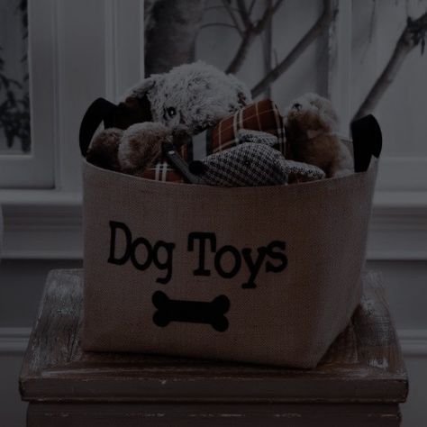 Dog Toys Aesthetic, Toy Aesthetic, Toys Aesthetic, Aesthetic Toys, Sweet Temptation, Dog Aesthetic, Saint Vincent, Aesthetic Photos, Aesthetic Photo