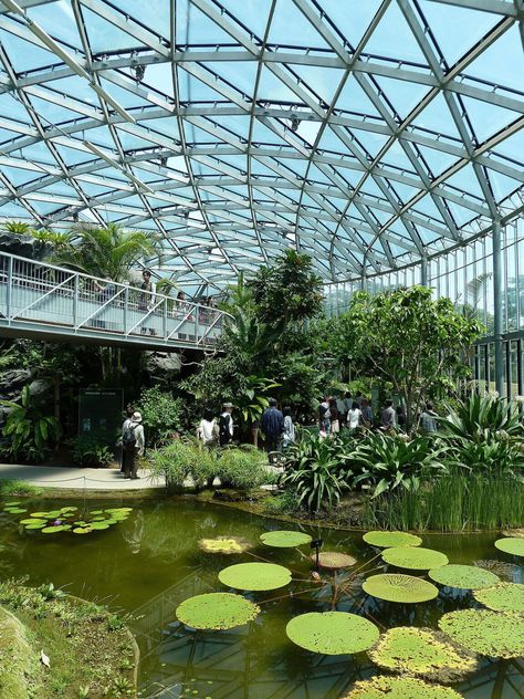 Botanical Museum, Health Architecture, Apartment Pool, Shinjuku Gyoen, Green Apartment, Large Greenhouse, Famous Gardens, Indoor Greenhouse, Forest And Wildlife