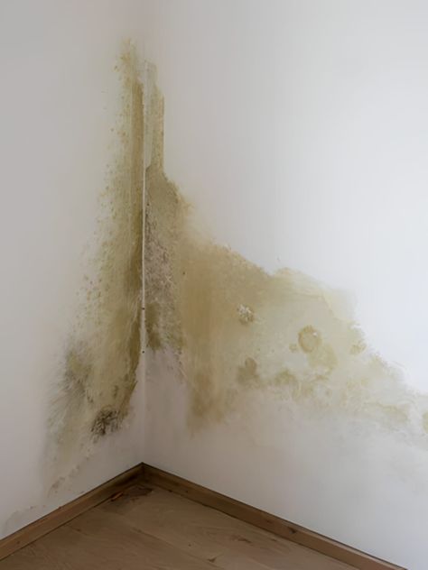 Paint Peeling Off Wall, Home Wall Painting, Hgtv Star, Dirty White, Broken White, Corner Wall, Water Damage, Painting Tips, Basement