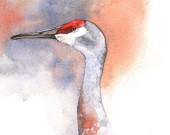 Crane Watercolor, Sand Hill Crane, Crane Painting, Bird Reference, Sandhill Cranes, Sandhill Crane, Bird Watercolor Paintings, Florida Art, Organic Art