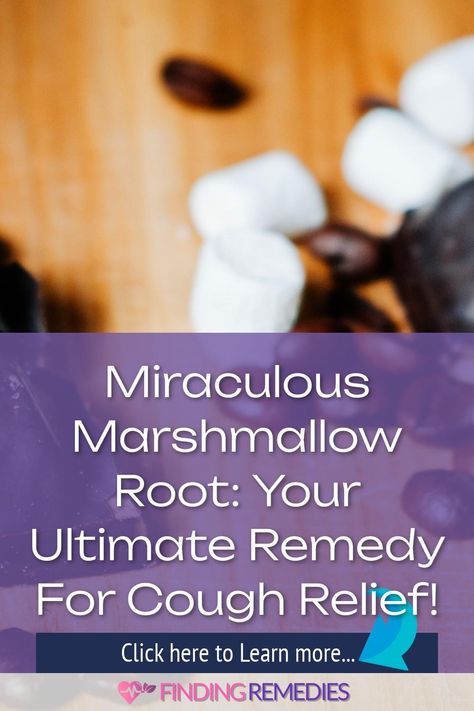 Miraculous Marshmallow Root: Your Ultimate Remedy for Cough Relief! Marshmallow Root Witchcraft, Marshmallow Herb Benefits, Marshmallow Root Tincture, Marshmallow Root Magical Properties, Herbal Marshmallows, Cough Syrup Recipe, Gum Inflammation, Cough Relief, Home Remedies For Allergies